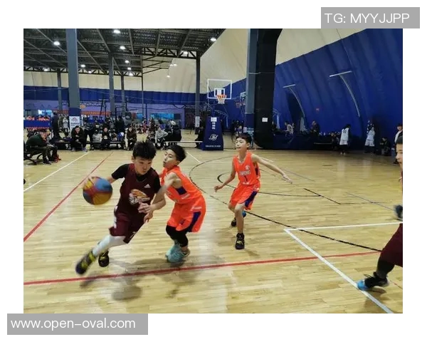 杭州篮球队耐力革命引发热议全城关注运动员训练新模式 杭州篮球队耐力革命引发热议全城关注运动员训练新模式