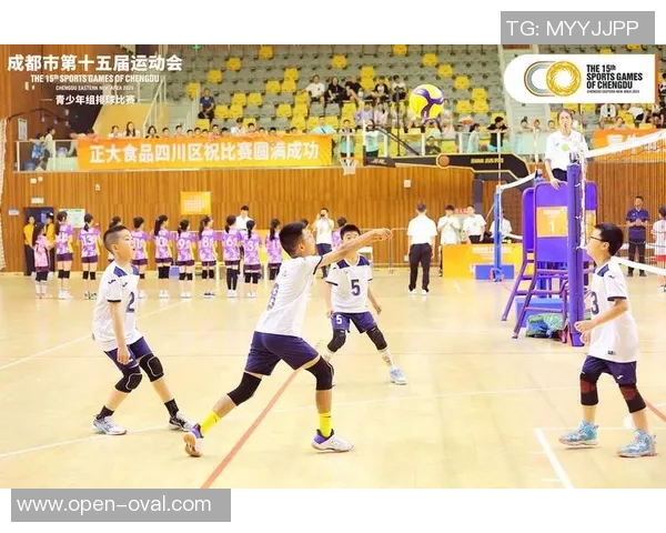 成都排球队耐力对比分析揭示运动员训练与比赛表现的深层关系 成都排球队耐力对比分析揭示运动员训练与比赛表现的深层关系