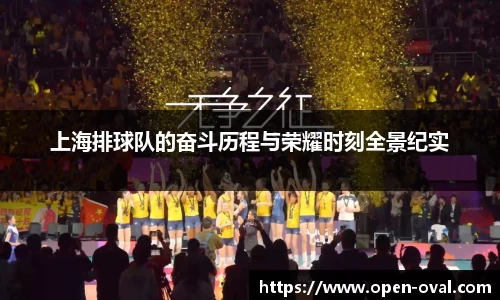 上海排球队的奋斗历程与荣耀时刻全景纪实